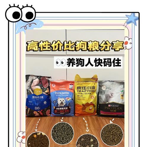 贵宾犬适合哪种狗粮？如何选择合适的品牌？