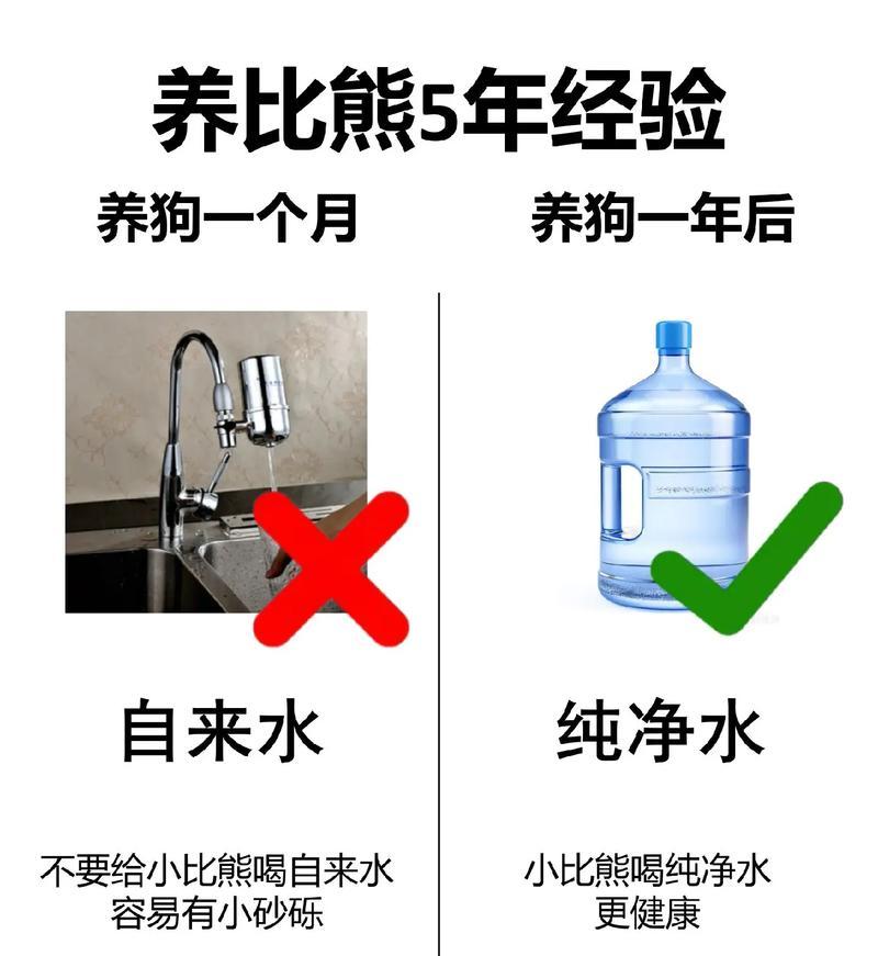 一个多月比熊喂养最佳方法是什么？