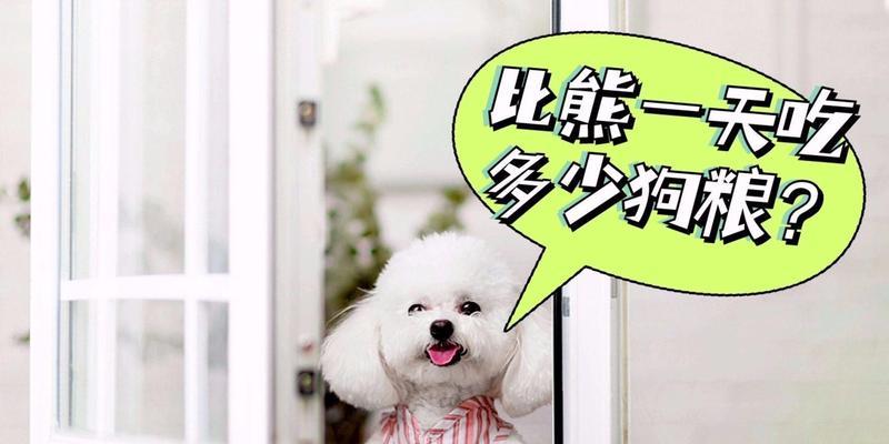 比熊犬多吃狗粮好吗？最佳喂食方法是什么？