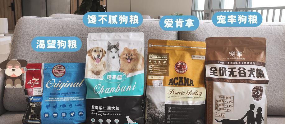 比熊犬过度食用狗粮会有哪些问题？正确的比熊喂养方法是什么？