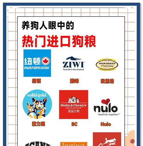 比熊犬过度食用狗粮会有哪些问题？正确的比熊喂养方法是什么？