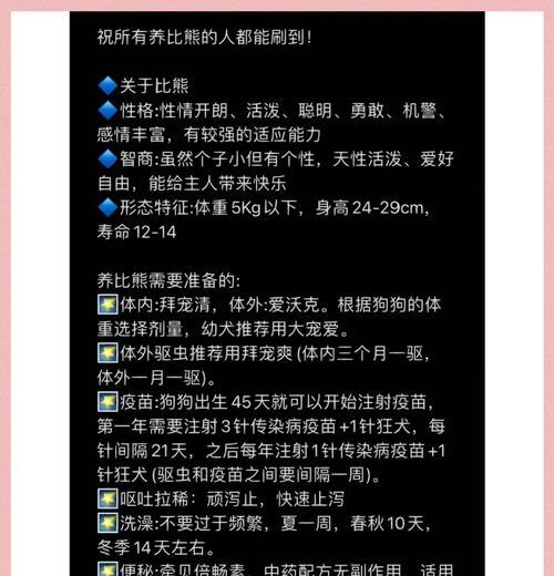 46天比熊的日常喂食量是多少？如何科学喂养？