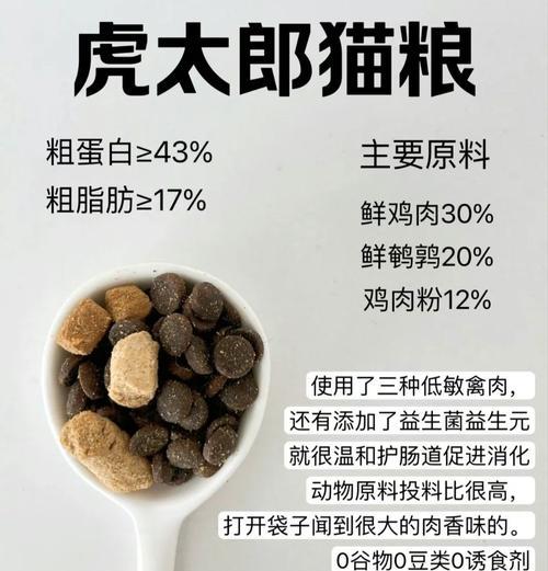 市场上有没有性价比高的便宜猫粮？如何选择经济实惠的猫粮？