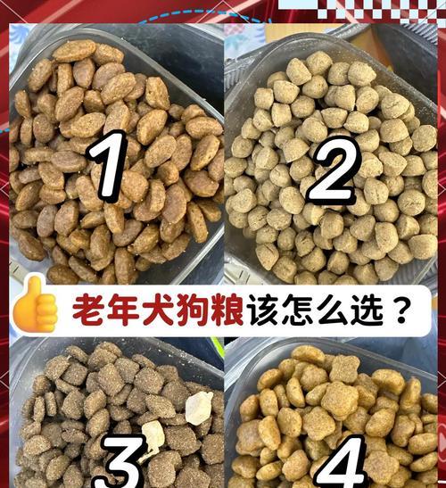 泰迪犬突然拒食狗粮可能是疾病吗？如何识别？