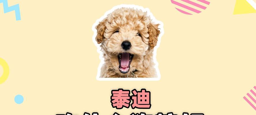 泰迪幼犬什么都吃却拒绝狗粮怎么办？有效引导方法是什么？