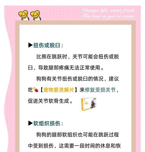 比熊犬吃鸡骨头会导致脱毛吗？有哪些可能的健康影响？