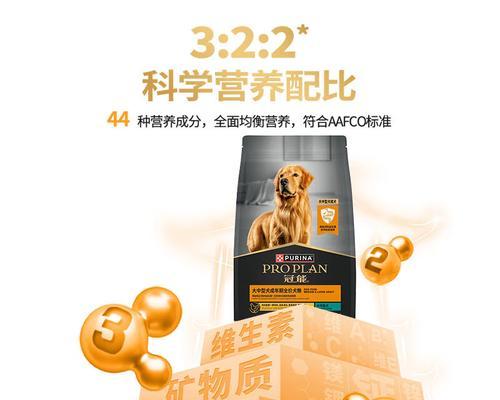 中型犬每日狗粮的推荐摄入量是多少？