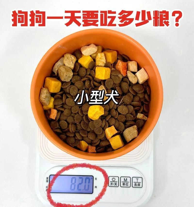 中型犬每日狗粮的推荐摄入量是多少？