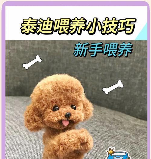 泰迪幼犬拒绝吃狗粮怎么办？有没有什么方法可以解决这个问题？