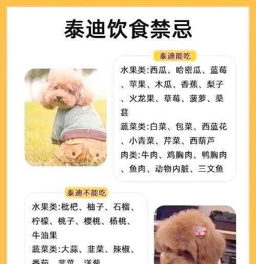 泰迪幼犬拒绝吃狗粮怎么办？有没有什么方法可以解决这个问题？