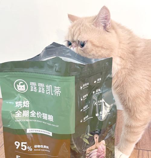 加菲猫避免泪痕的猫粮选择有哪些？