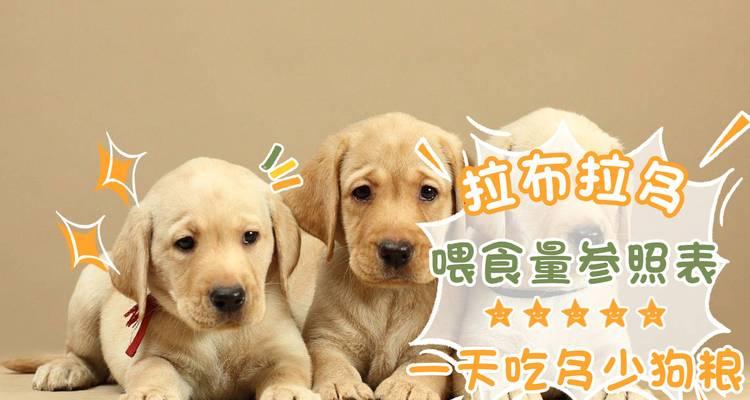 小型犬一顿吃40克狗粮是否足够？如何根据体重调整食量？