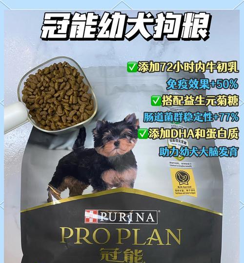 2个半月的柴犬应该吃什么狗粮？哪种狗粮最适合？