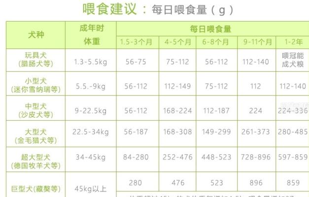 比熊幼犬狗粮的正确喂食量是多少？如何控制喂食量？