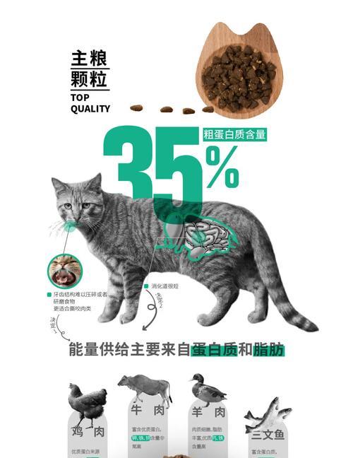 加菲猫偏爱哪些品牌的猫粮？