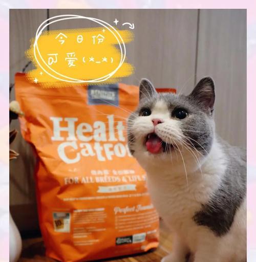 加菲猫偏爱哪些品牌的猫粮？