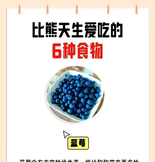 比熊一般吃东西多长时间吃一次？如何安排比熊的饮食？