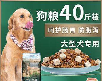 中型犬小时候如何正确喂食狗粮？喂食狗粮时应注意什么？