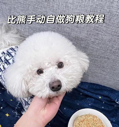 长期泡狗粮对比熊有什么影响？