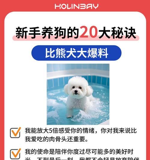 比熊犬可以吃鸡心和鸡肝吗？简单易做的方法是什么？