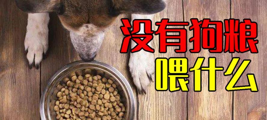 4个月狗狗喂食狗粮量如何控制？