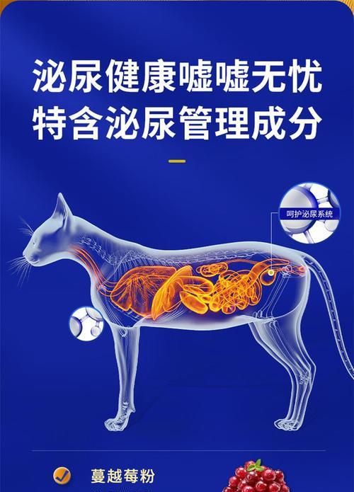 加菲猫吃什么牌子的猫粮对肠胃更好？如何挑选？