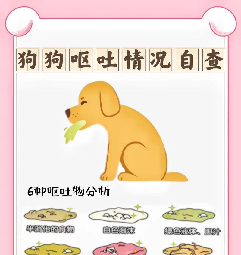 柴犬把吃的狗粮吐了怎么办啊？呕吐的原因及应对措施是什么？