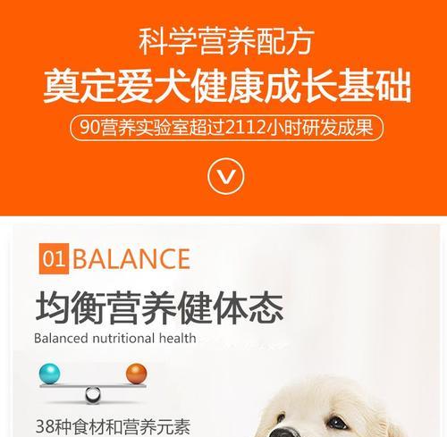 比熊幼犬喂食鸡蛋的正确方法是什么？