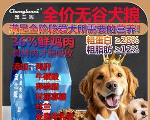 哪里能买到一元的贵宾犬狗粮？