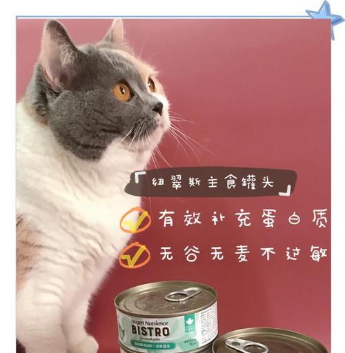 主食冻干猫粮和罐头能互换吗？哪种更适合猫咪？