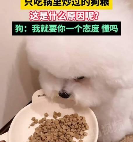 比熊食用鸡骨头后拒食狗粮该如何处理？