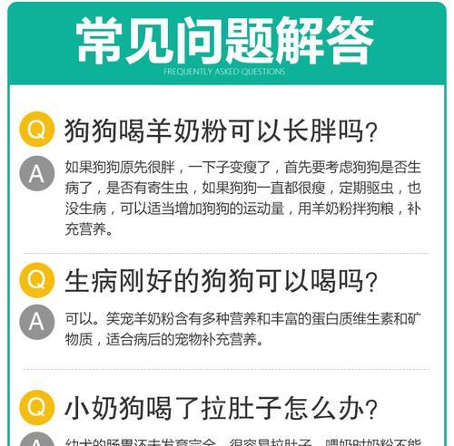 三个月比熊的奶粉喂养量？如何正确喂食奶粉？