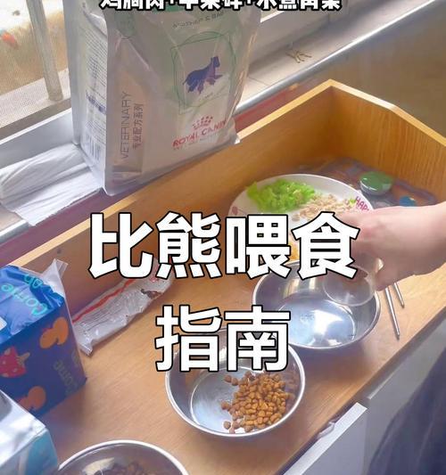 三个月比熊的奶粉喂养量？如何正确喂食奶粉？