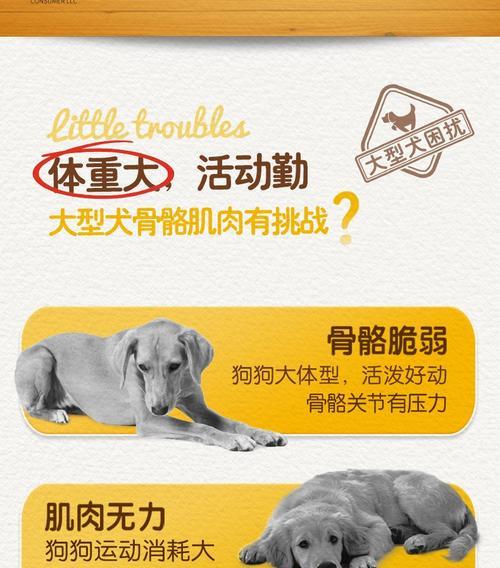 推荐哪些五斤装的大型犬狗粮？如何选择适合大型犬的狗粮？