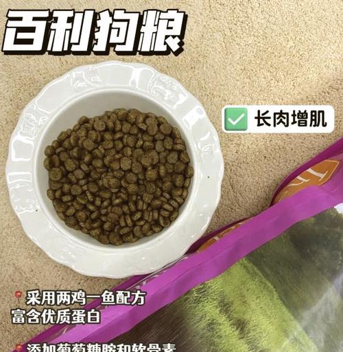 长期喂食狗粮对比熊犬好吗？如何选择最佳喂养方式？