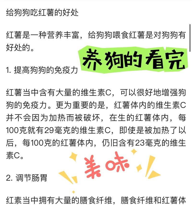 比熊吃鸭肉需要煮多久？煮熟的鸭肉对狗狗有什么好处？