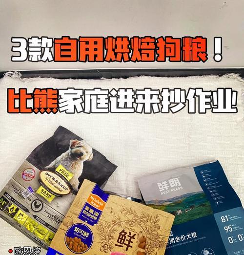 比熊每周吃几个生鸡蛋合适？生鸡蛋对狗狗有哪些影响？