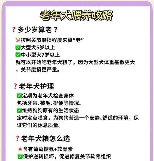 40斤中型犬一天应该吃多少狗粮？