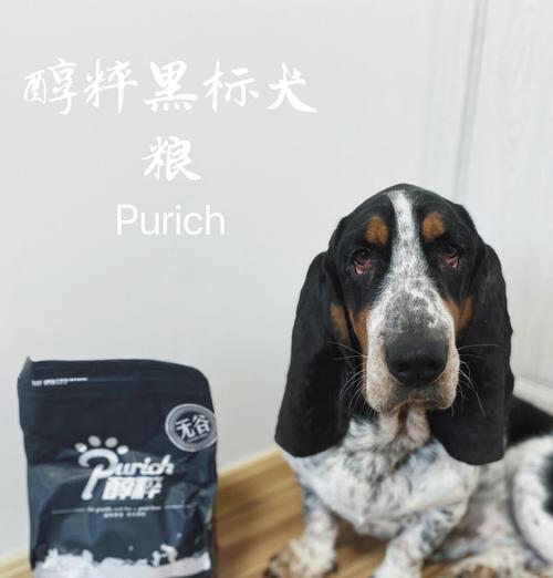 中型犬每餐应喂多少克狗粮？如何确定合适的食量？