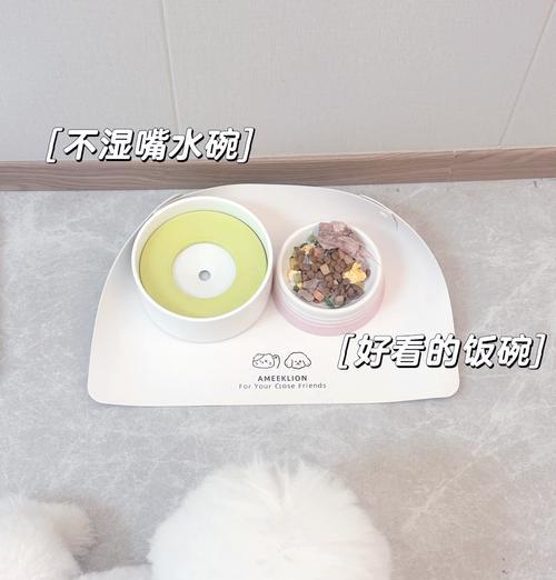 小比熊犬食用油麦菜是否适宜？