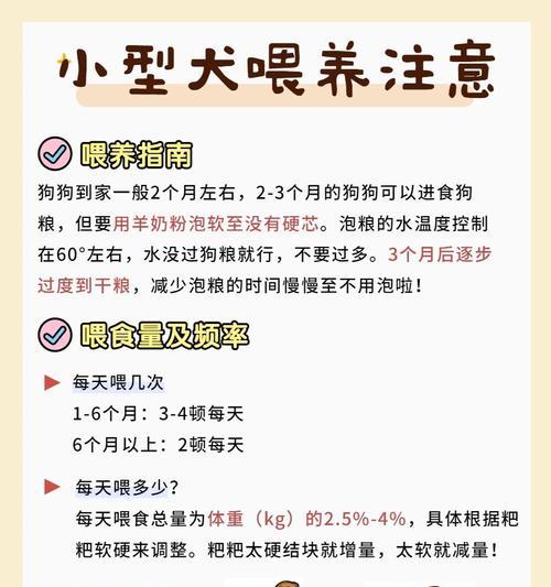 小型犬十公斤狗粮能持续多久？如何计算喂食量？