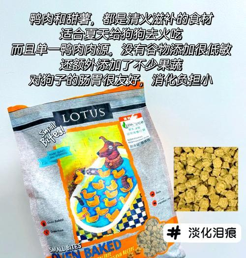 比熊幼犬换狗粮的时机？干粮的适量是多少？