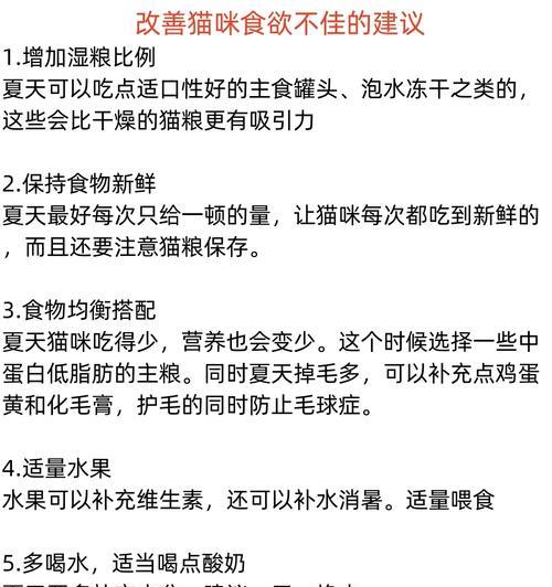 冻干猫粮和主食罐头哪个更适合猫咪？如何选择猫咪的主食？