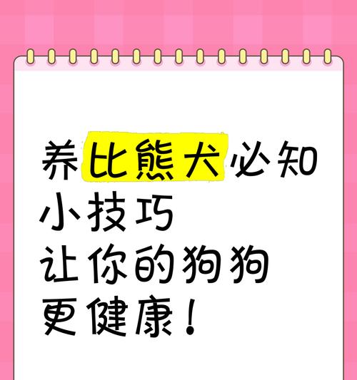 比熊犬可以吃肝吗？对健康有哪些影响？