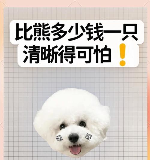 比熊犬可以吃肝吗？对健康有哪些影响？