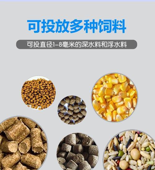 鱼塘缺食物时如何喂养鱼苗？正确的喂食方法是什么？