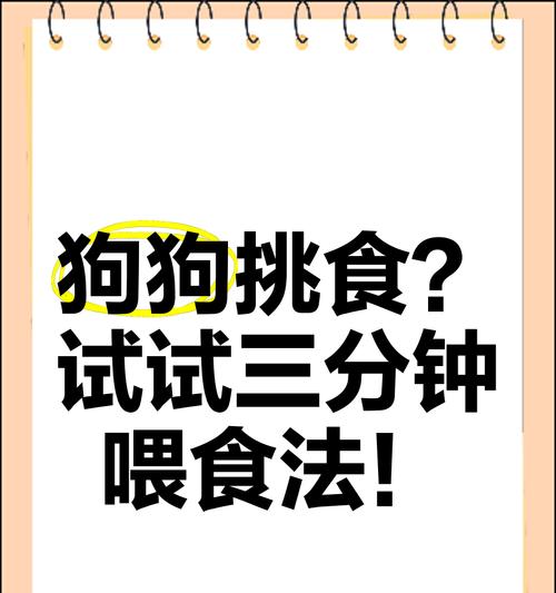 四个月的狗每次喂多少狗粮正常？喂食频率和量如何掌握？