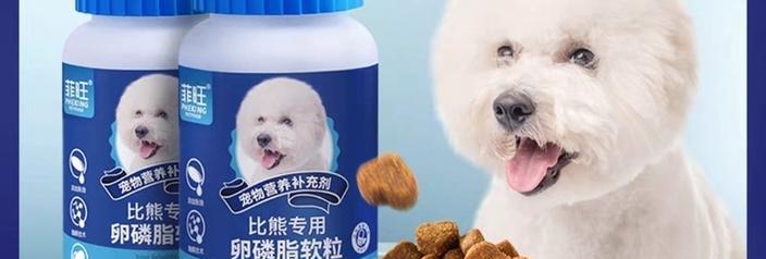 比熊吃蛋黄和鱼油好吗？这样喂食有什么好处？