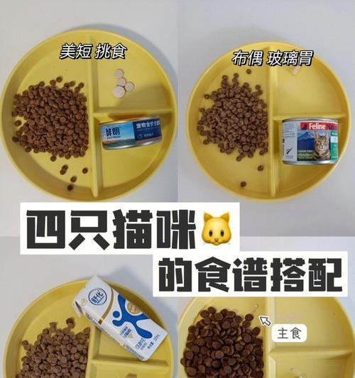 暹罗猫一天喂多少冻干粮？冻干粮喂食量怎么算？