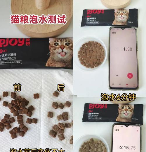 哪些品牌的猫粮适合加菲猫的肠胃？如何选择最佳猫粮？